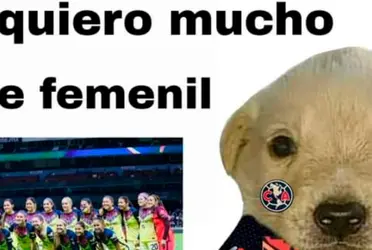 El conjunto azulcrema consiguió su segundo campeonato en el circuito rosa.