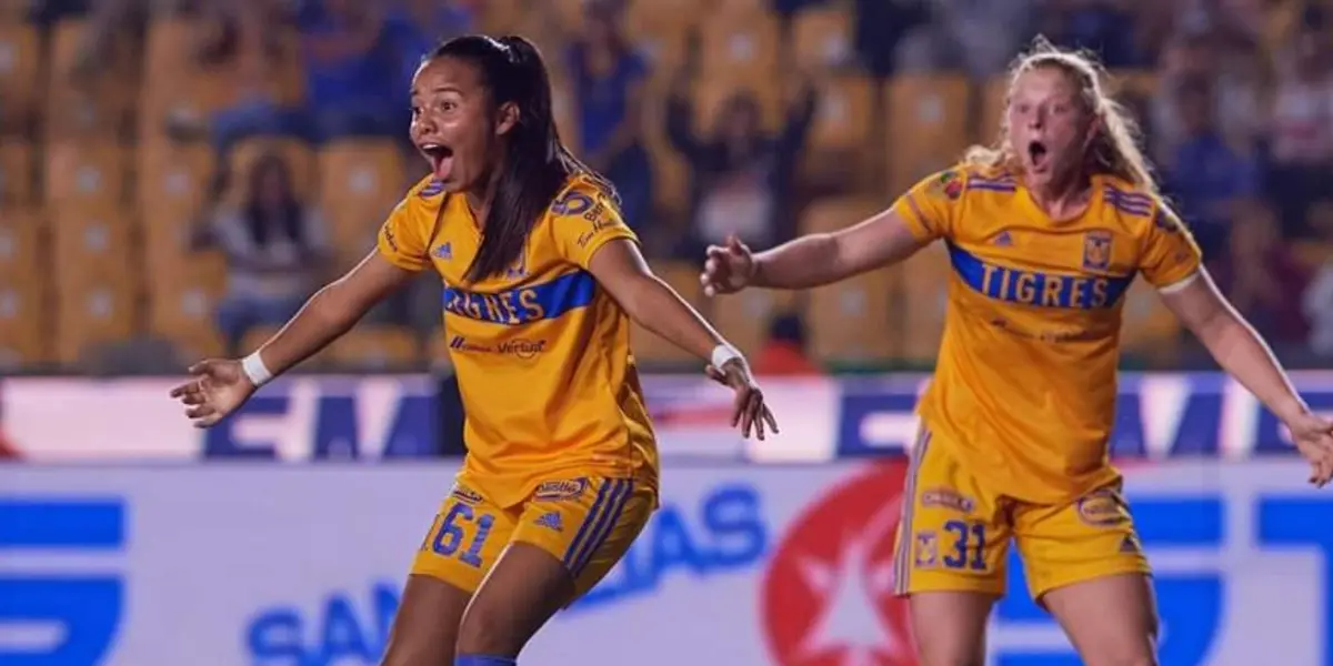 El conjunto felino descubrió a una nueva estrella que tiene un futuro prometedor.