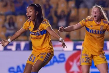 El conjunto felino descubrió a una nueva estrella que tiene un futuro prometedor.