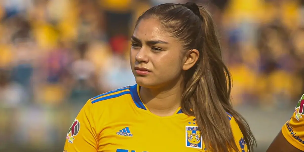 El conjunto felino es de los equipos que más minutos deben en la regla de menores.