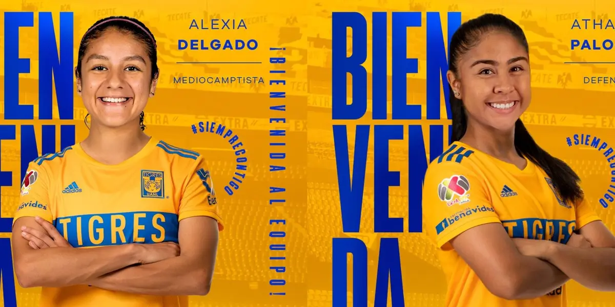 El conjunto felino ha anunciado a dos nuevas jugadoras.