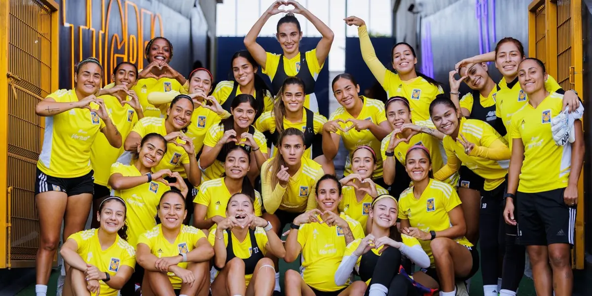 El conjunto felino ha ganado sus primeros dos partidos y este viernes buscará repetir la dosis.