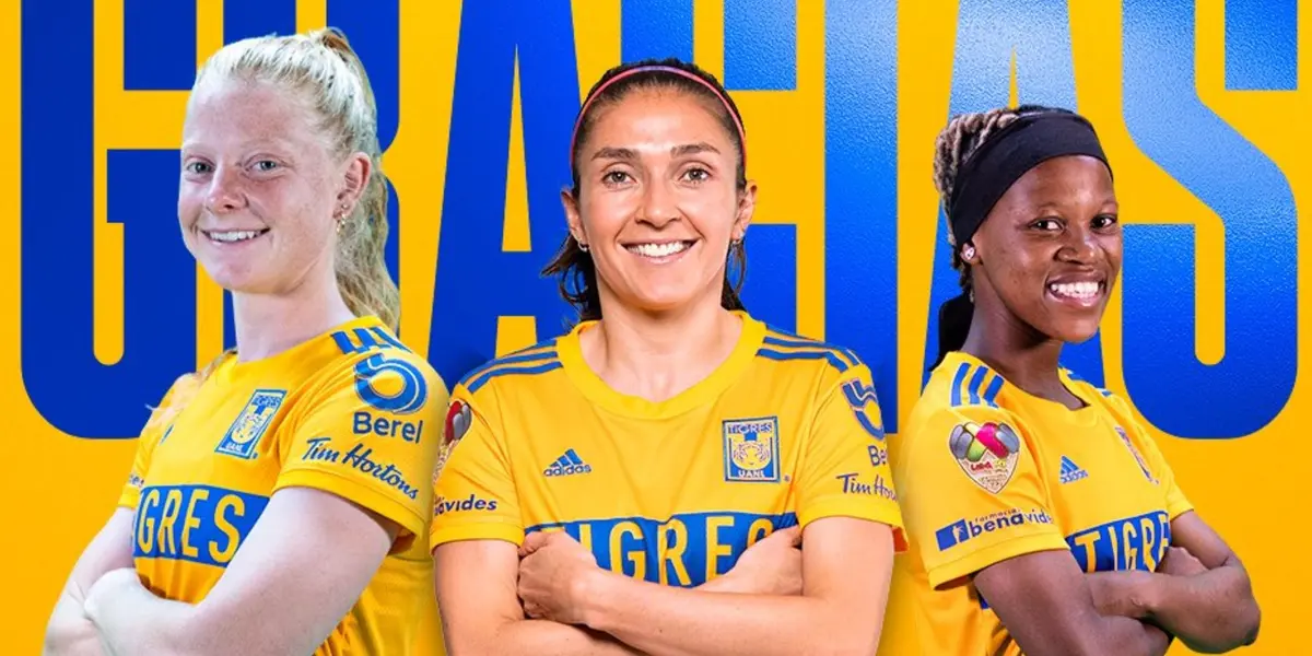 El conjunto felino por fin hizo oficial a sus primeras bajar para el siguiente certamen.