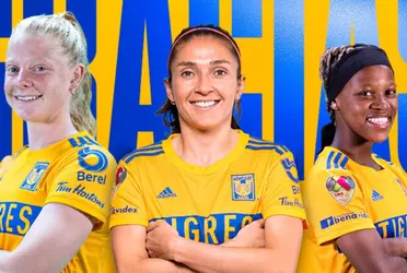 El conjunto felino por fin hizo oficial a sus primeras bajar para el siguiente certamen.