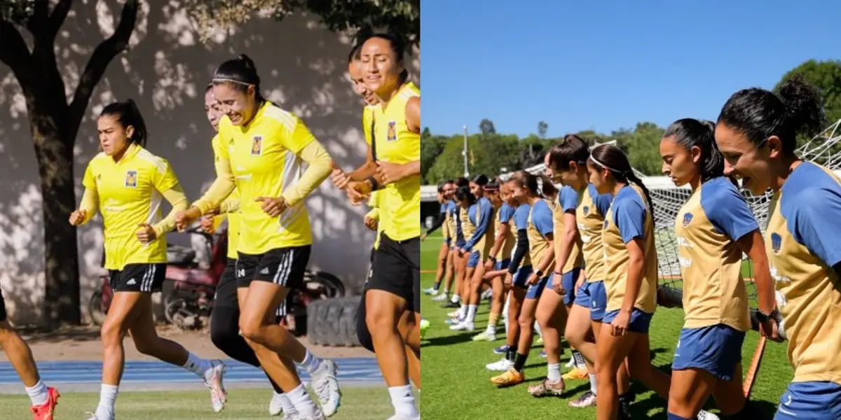 El conjunto felino recibirá a las universitarias este lunes por la noche.