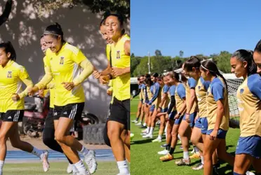 El conjunto felino recibirá a las universitarias este lunes por la noche.