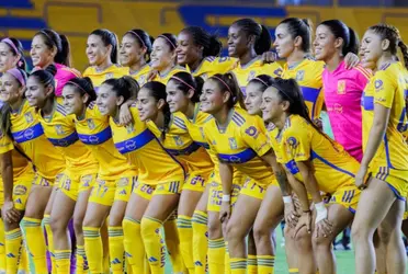 El conjunto felino tendrá actividad hasta el lunes en la reanudación de la competencia.