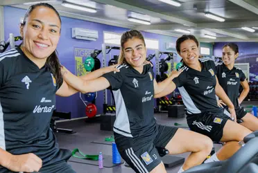 El conjunto felino ya comenzó los intensos trabajos previó a la Fiesta Grande.