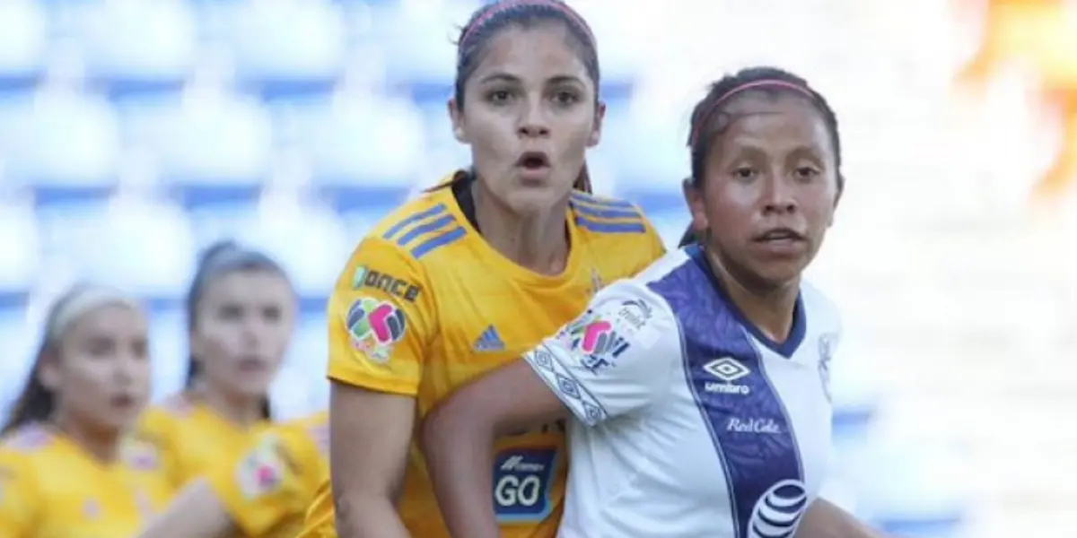 Este día, el conjunto felino hará su presentación en el nuevo certamen ante La Franja.