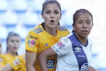 Este día, el conjunto felino hará su presentación en el nuevo certamen ante La Franja.