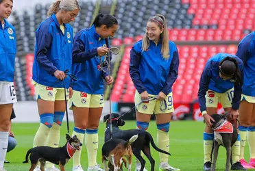 Las Águilas promovieron la adopción de perritos en la ceremonia de protocolo.
