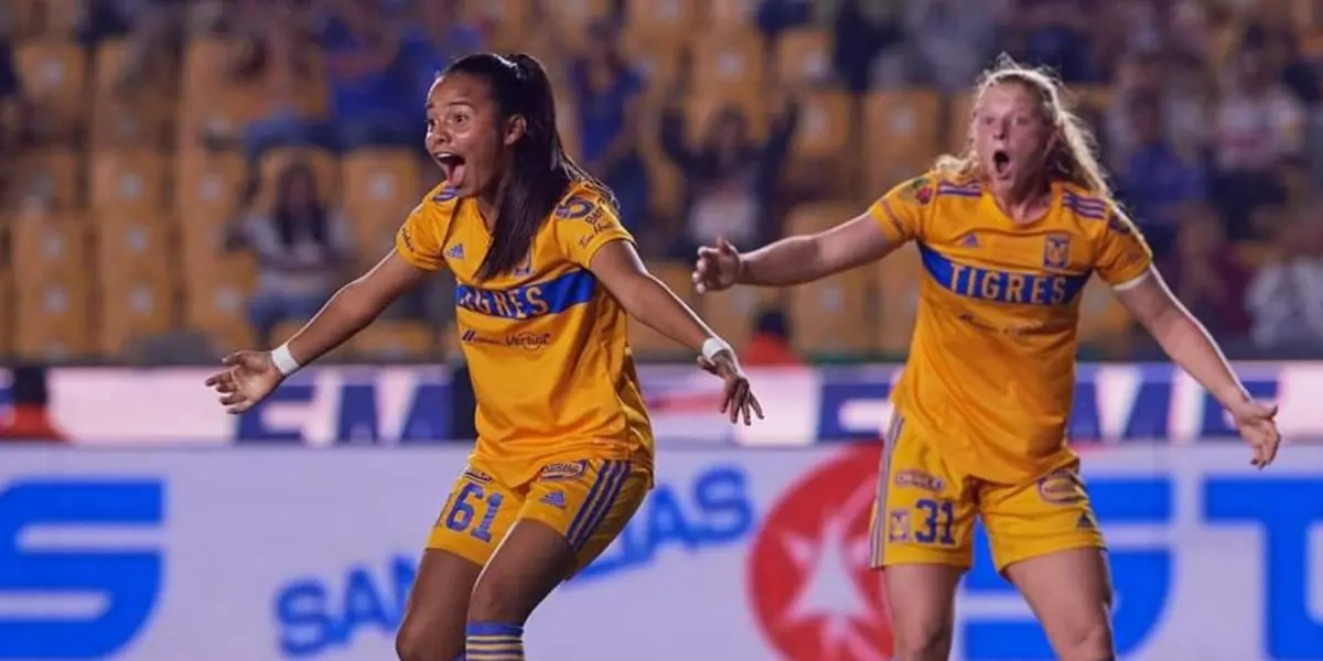 Las Amazonas han anunciado visorias para sus categorías menores.