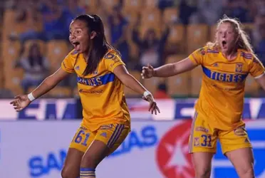 Las Amazonas han anunciado visorias para sus categorías menores.