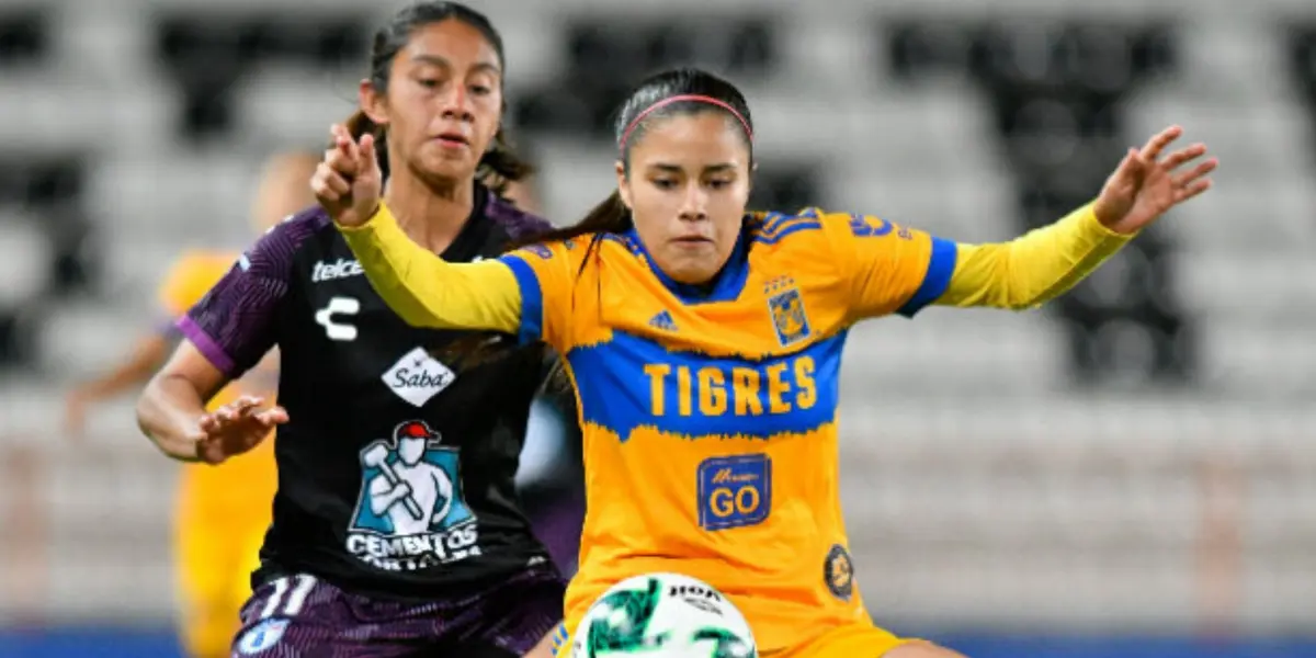 Las Amazonas recibirán a las Tuzas en el ‘Volcán’ este sábado por la noche.