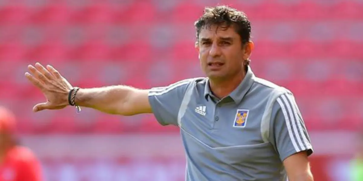 Las felinas recibirán al conjunto rojinegro este viernes en el circuito rosa.