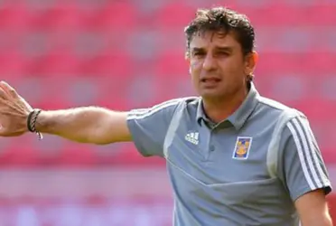 Las felinas recibirán al conjunto rojinegro este viernes en el circuito rosa.