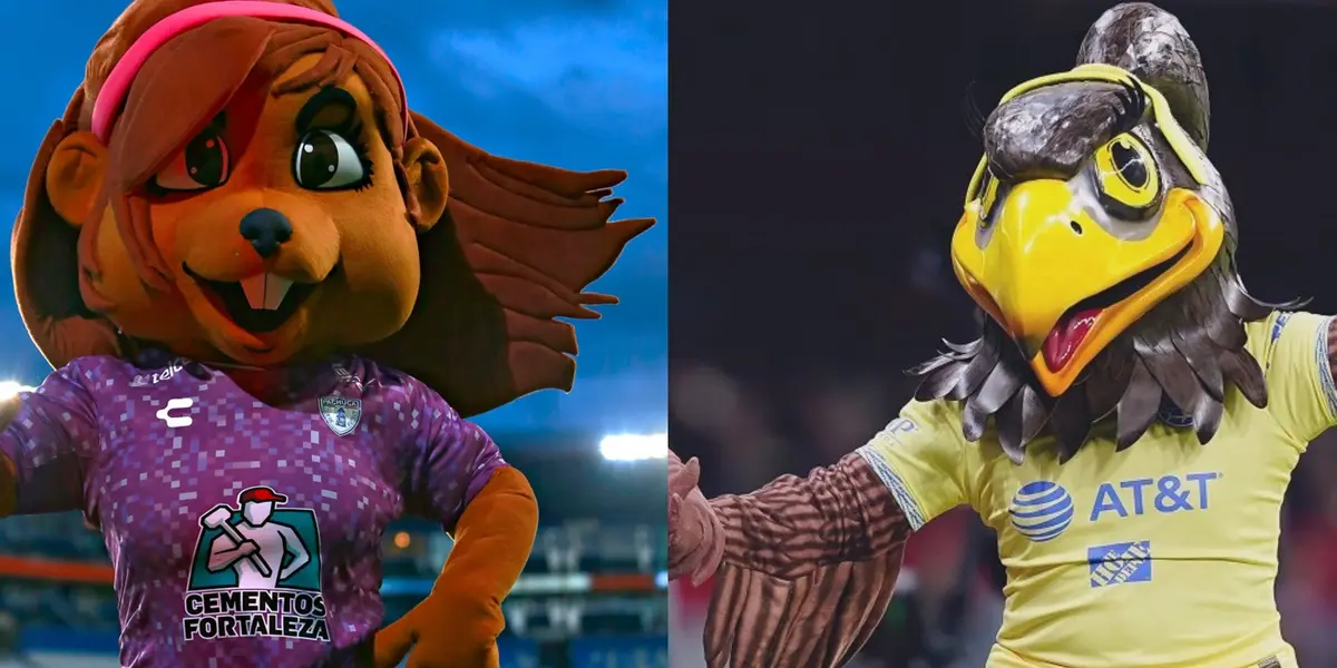 Los equipos en la competencia comienzan a tener más compromiso en el proyecto.