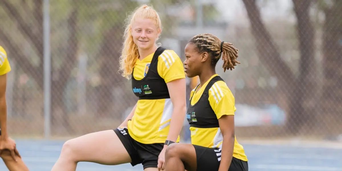 Los seguidores del conjunto felino no están contentos con el funcionamiento del equipo.