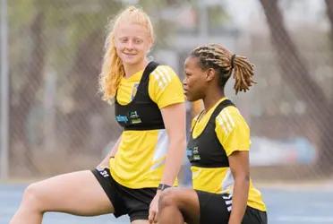 Los seguidores del conjunto felino no están contentos con el funcionamiento del equipo.