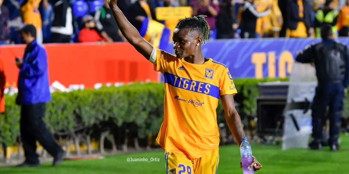 Luego de que se anunciara que la jugadora nigeriana ya no formaría más parte del conjunto felino, comenzó la reorganización.