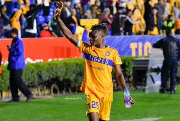 Luego de que se anunciara que la jugadora nigeriana ya no formaría más parte del conjunto felino, comenzó la reorganización.